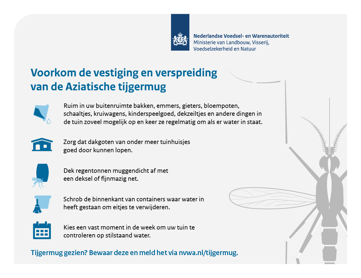 Bestrijding Aziatische tijgermug in omgeving Hulst