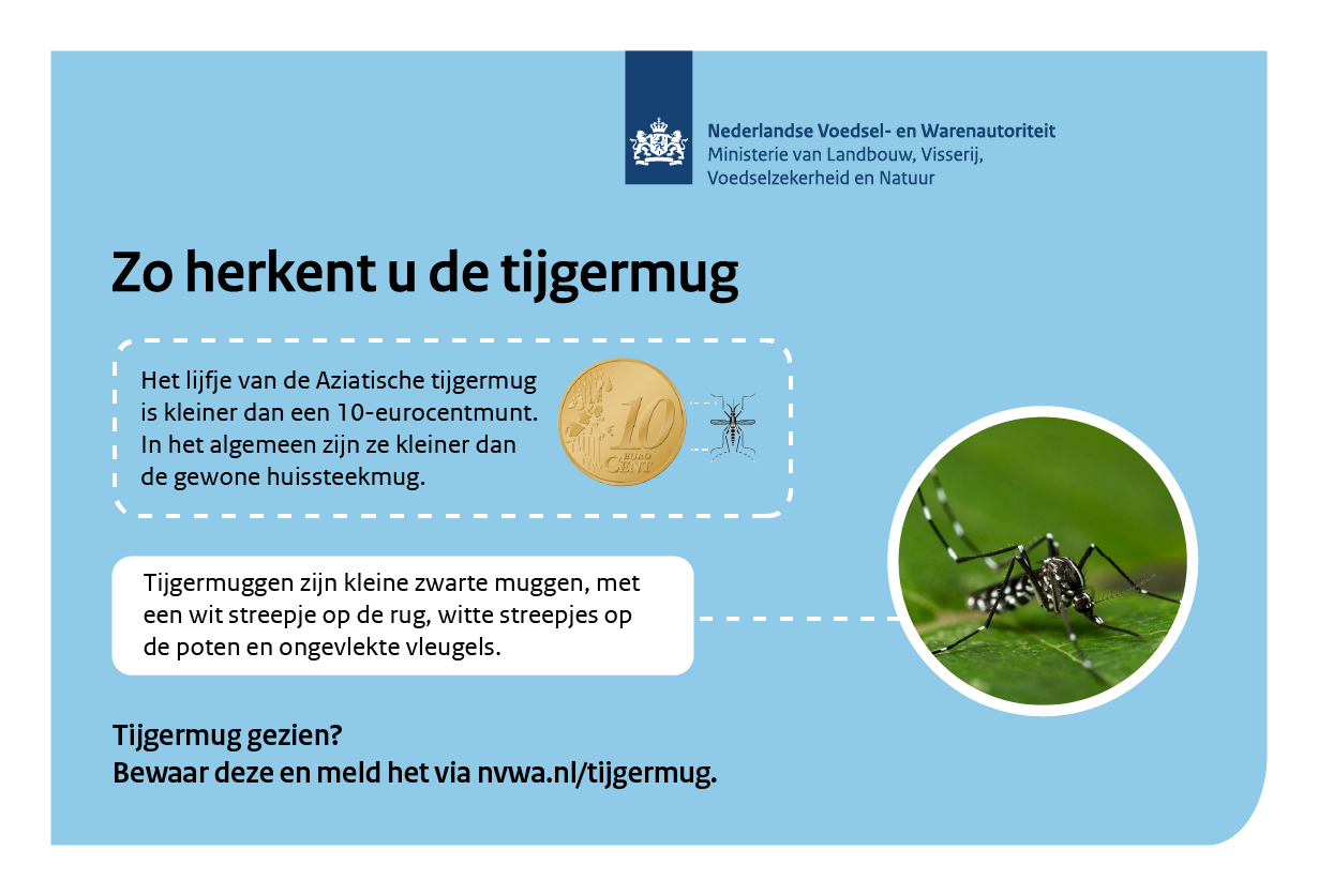 Bestrijding Aziatische tijgermug in omgeving Hulst 2